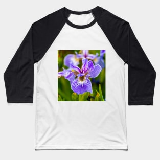 Purple Iris Flower Baseball T-Shirt